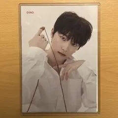 SEVENTEEN セブチ 24H タワレコ フライヤー ディノ