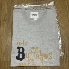 Item thumbnail for item fadd3951-ab75-4fe6-b8e9-dc29692a6cf3