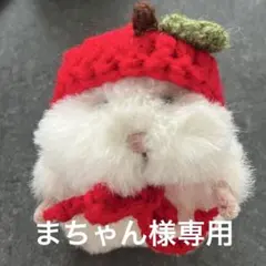 まちゃん様専用