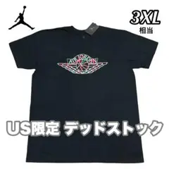 NIKE エアジョーダン ウイングロゴ デッドストック Tシャツ 海外限定 J1