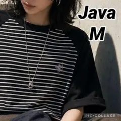 新品《JaVaジャバコラボ》綿100％　胸刺繍　ラグラン　ボーダー　Tシャツ