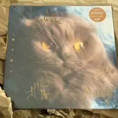 猫戦　蜜・月・紀・行　アナログレコード　LP Amazon.co.jp: 猫戦 蜜 月 紀 行 アナログ LP レコード : おもちゃ