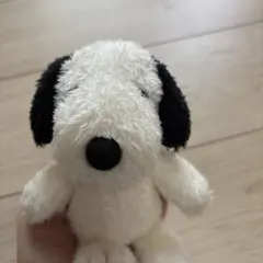 ユニバーサル・スタジオ・ジャパンのお土産 スヌーピー ぬいぐるみ