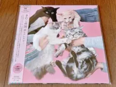 きのこ帝国 猫とエネルギー LPレコード - メルカリ