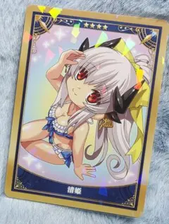 FGO 最終再臨展 水着 バーゲスト ミニ最終再臨サーヴァント カード UDK