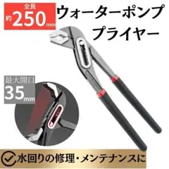 Item thumbnail for item b70f3798-c5fb-497e-84f5-31b8d30b9d75