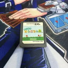 任天堂　Nintendo ニンテンドー　DS ソフト　おいでよどうぶつの森