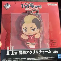 一番くじ H賞 ハイキュー ゴミ捨て場の決戦 山本猛虎 アクリルチャーム