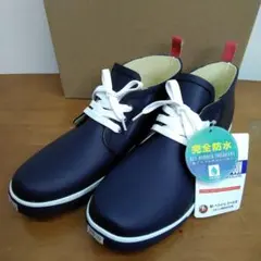 Item thumbnail for item 0b057bc1-0cb1-4f81-af7b-9db697df586b