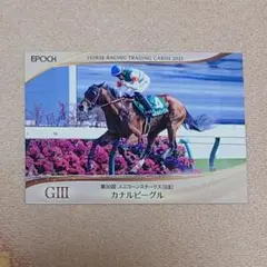 2026年最新】ホースレーシングカードの人気アイテム - メルカリ