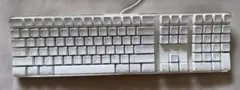 Apple USキーボード・動作未確認