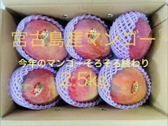 宮古島産マンゴー 5kg - メルカリ