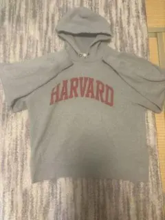 HARVARD フード付きパーカー グレー