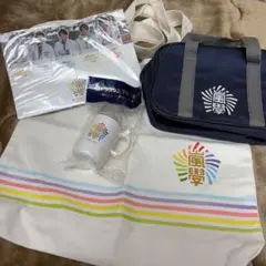 嵐 ワクワク学校 嵐學 グッズ まとめ売り