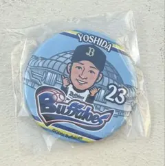 Item thumbnail for item 43693438-bb6b-4368-bd64-eb7975a2451d