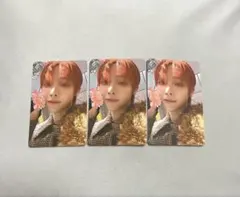 &TEAM ニコラス　雪明かりトレカ3枚セット