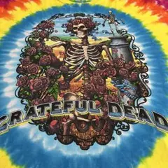 バンドTシャツGRATEFUL DEAD XL タイダイ　リキッドブルー