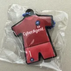 FC町田ゼルビア 1 谷ACLE限定ユニフォーム型キーホルダー - メルカリ