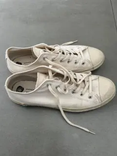 Item thumbnail for item cf811be2-d408-4f66-bfa4-737e8abd5b5d