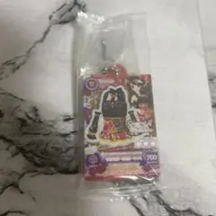 アイカツ！ だれでもアイドル活動アクリルチャーム３ 紫吹蘭