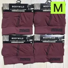 Item thumbnail for item 17cb5b01-bbf8-4b95-ae5a-7c9e7db962f9