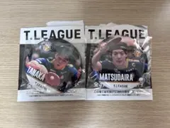 T.LEAGUE 缶バッジチャンスくじ 2026 Tリーグ - メルカリ