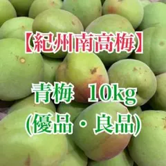 今年も入荷‼️和歌山県産 完熟南高梅 超大玉‼️4Lサイズ 5kg みかんキング 今年も入荷‼️和歌山県産 完熟南高梅 超大玉‼️4Lサイズ 5kg みかん