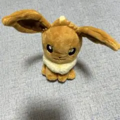 ポケモン　イーブイ