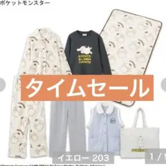 ポケモン　ルームウェア パジャマ　ハッピーバッグ　ブランケット　福袋　アベイル