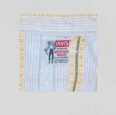 ▪️60s LEVI‘S リーバイス ビンテージ シャツ サドルマンタグ 水色のサムネイル