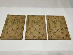 Item thumbnail for item 63d1e7f6-1c75-436b-879a-a1671639f212