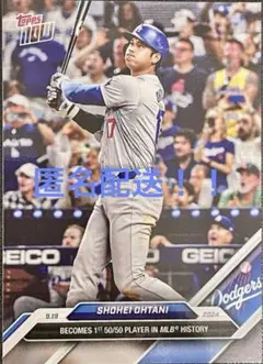 Item thumbnail for item 37788550-292f-42b0-a74b-cb3f3dac2616