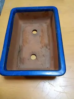 青色　盆栽鉢　約26×18×7cmのサムネイル