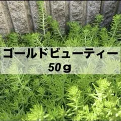 ryo3様 リクエスト 2点 まとめ商品