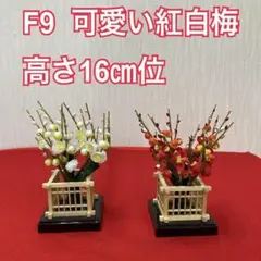 Item thumbnail for item e38c50ee-507c-4901-bd22-bf6ccd9de608