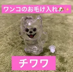 うちの子けだまだま　犬　柴犬　シバイヌ　ポメ　ビションポメラニアン　チワワ