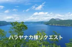 Item thumbnail for item 2cd24b57-2304-42c6-ba3d-df9cf528ec20