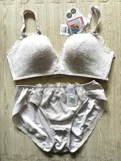 ブラジャーショーツセット LLサイズ