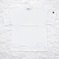 Item thumbnail for item 4f3d62f2-d104-4121-b9e4-95602acd90b0