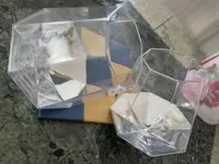 絶対に酔えない 八角形グラス ♡2個セット