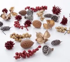 大量！大地農園/ミックスコーン 50g レッド/N/スノー/24890-320