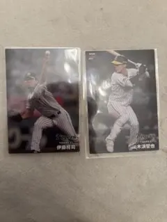 伊藤将司 木浪聖也プロ野球チップスカードセット