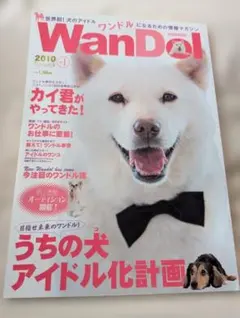 Item thumbnail for item bf6e52f7-2ebb-4eaa-ae52-65ef84deee7b