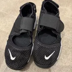 Item thumbnail for item 6d0afb38-66f3-4377-a235-eb31583ee703