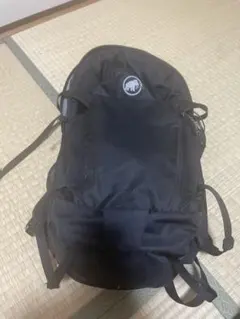 Item thumbnail for item 4bce1161-f154-4970-aa70-33ccd00ceb08