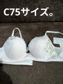 2026年最新】ワコール サルート c75の人気アイテム - メルカリ