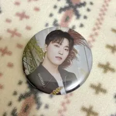 セブチ 缶バッジ ディノ