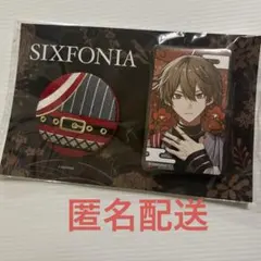 シクフォニ 暇72 アニメイト　限定　缶バッジセット