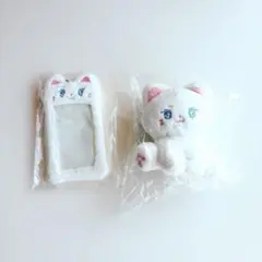 ジュン ぬいぐるみ トレカ ホルダー マスター 猫 SEVENTEEN ホムマ
