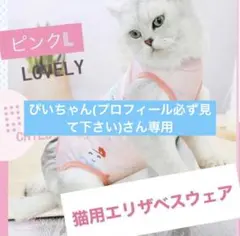 Item thumbnail for item 3766c24a-b4bc-4201-b071-7dea506ff5b3